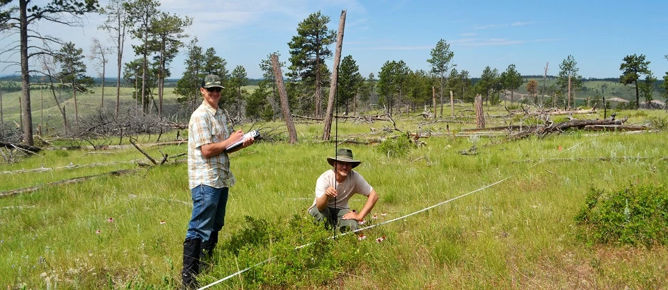 Plant community monitoring at Jewel Cave NM One person stands with a clipboard while another crouches in the grass holding a measuring rod