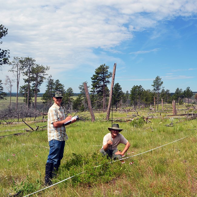 Plant community monitoring A man crouching in a grassy area to look at plants and another man with a clipboard