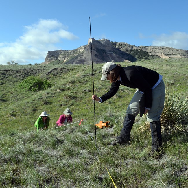 Plant community monitoring One person holds a post on a measuring tape laid in the grass while two other crouch to count plants