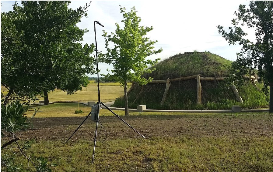 bat acoustic detector set up a microphone on a tall tripod stands next to a tree and cultural mound