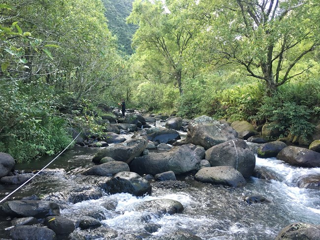 PACN I&M staff performing water quality monitoring in Kalaupapa National Historical Park