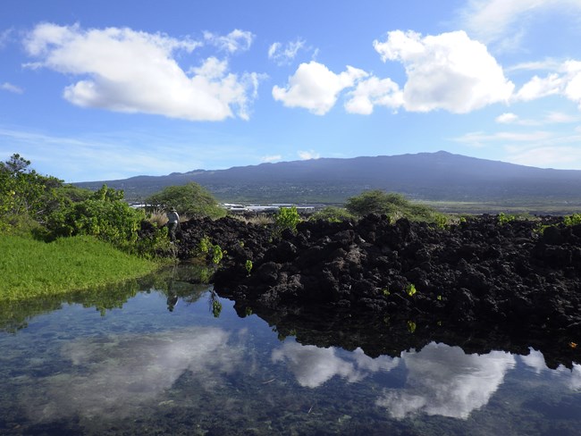 Anchialine pool in Kaloko-Honokōhau National Historical Park with development in the background.