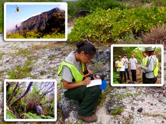 The vegetation crew working in Pacific island parks The vegetation crew working in Pacific island parks