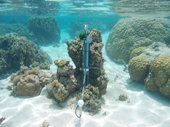 Water quality monitoring device on a coral reef Water quality monitoring device on a coral reef