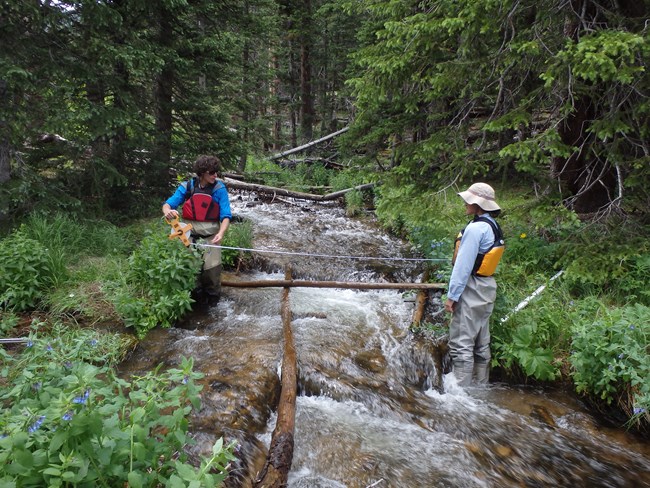 Streams monitoring in Rocky Mountain National Park