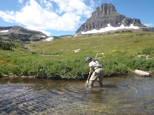 Streams monitoring in Glacier National Park