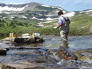 Man stands in shallow stream sampling the water.