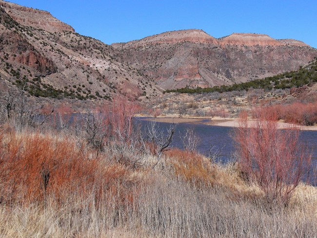 Rio Grande in winter Willows and colorful rock formations contrast with a blue Rio Grande and clear sky on a nice winter day.