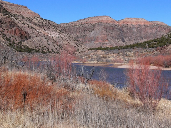 Willows and colorful rock formations contrast with a blue Rio Grande and clear sky on a nice winter day.