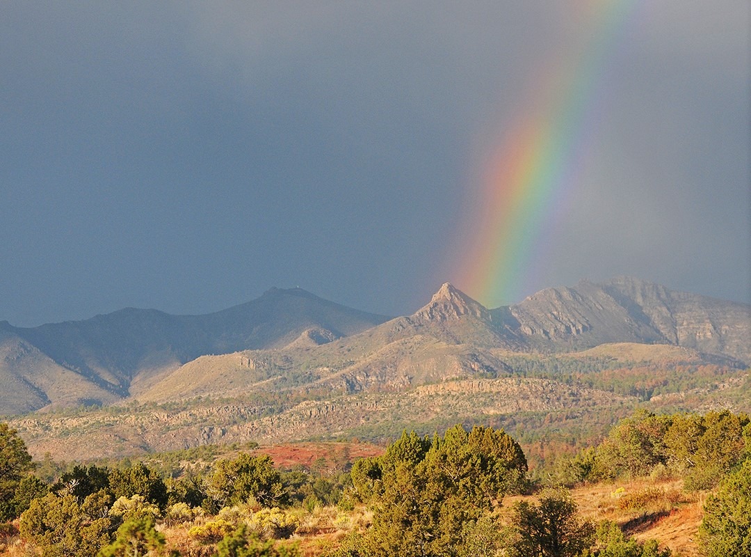 Vegetation Trends in Pinyon-Juniper Woodlands in Southern Colorado
