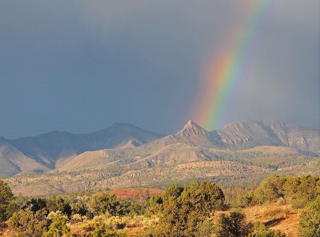 Juniper woodlands in front of mountain range with a rainbow.