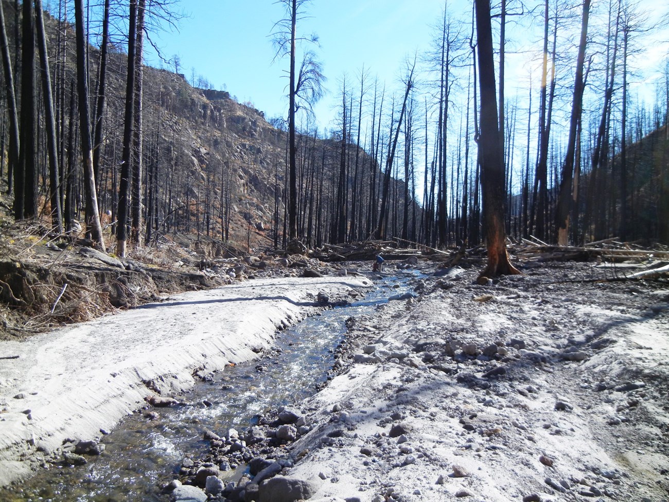 Study site named RIT02 after the wildfire. Small stream running through a forest that recently burned.