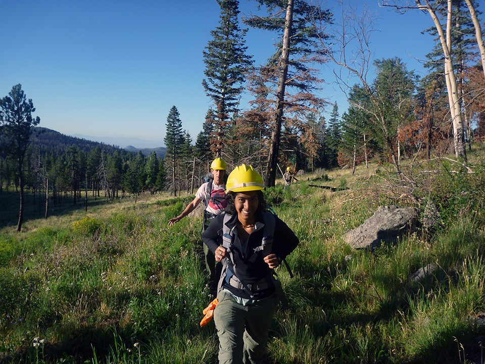 A grassy hillside with conifers covering the landscape in the background. A smiling woman in a yellow hard hat walks towards the viewer with a backpack. Two men, also with packs and hard hats, trail behind her.