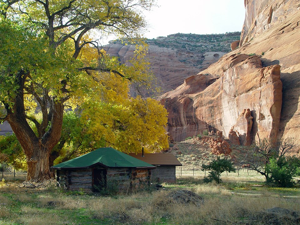 Hogan in the shade of a large deciduous tree with trees turning yellow in fall. Steep canyon walls in the background.