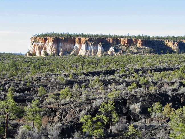 Landscape view with ponderosa pines growing in pahoehoe lava flows, and a sandstone bluff rising in the background