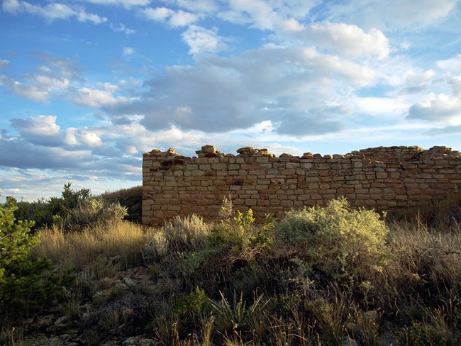 Low sunlight on a section of wall towering above the surrounding vegetation