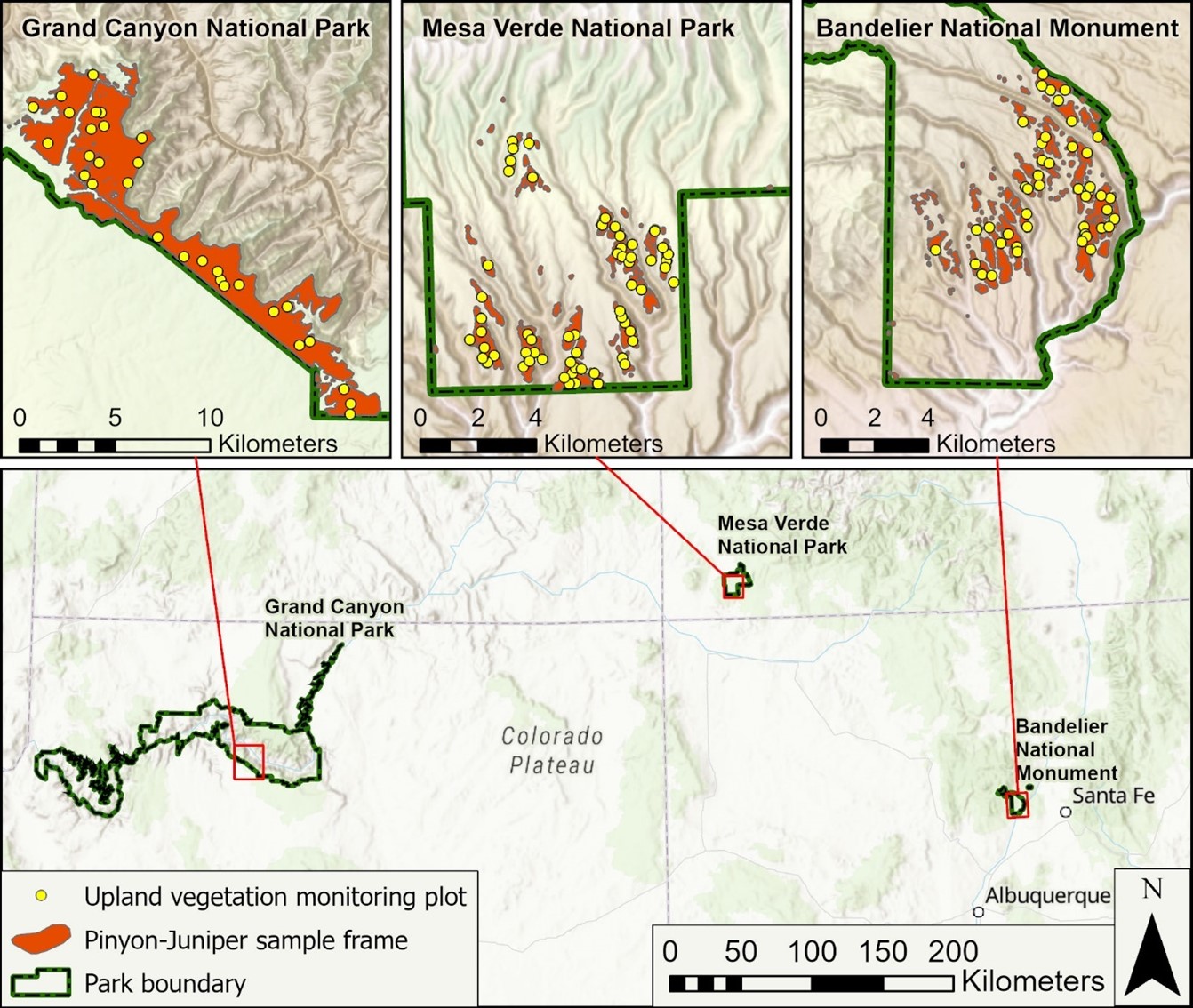 Vegetation Trends in Pinyon-Juniper Woodlands in Southern Colorado