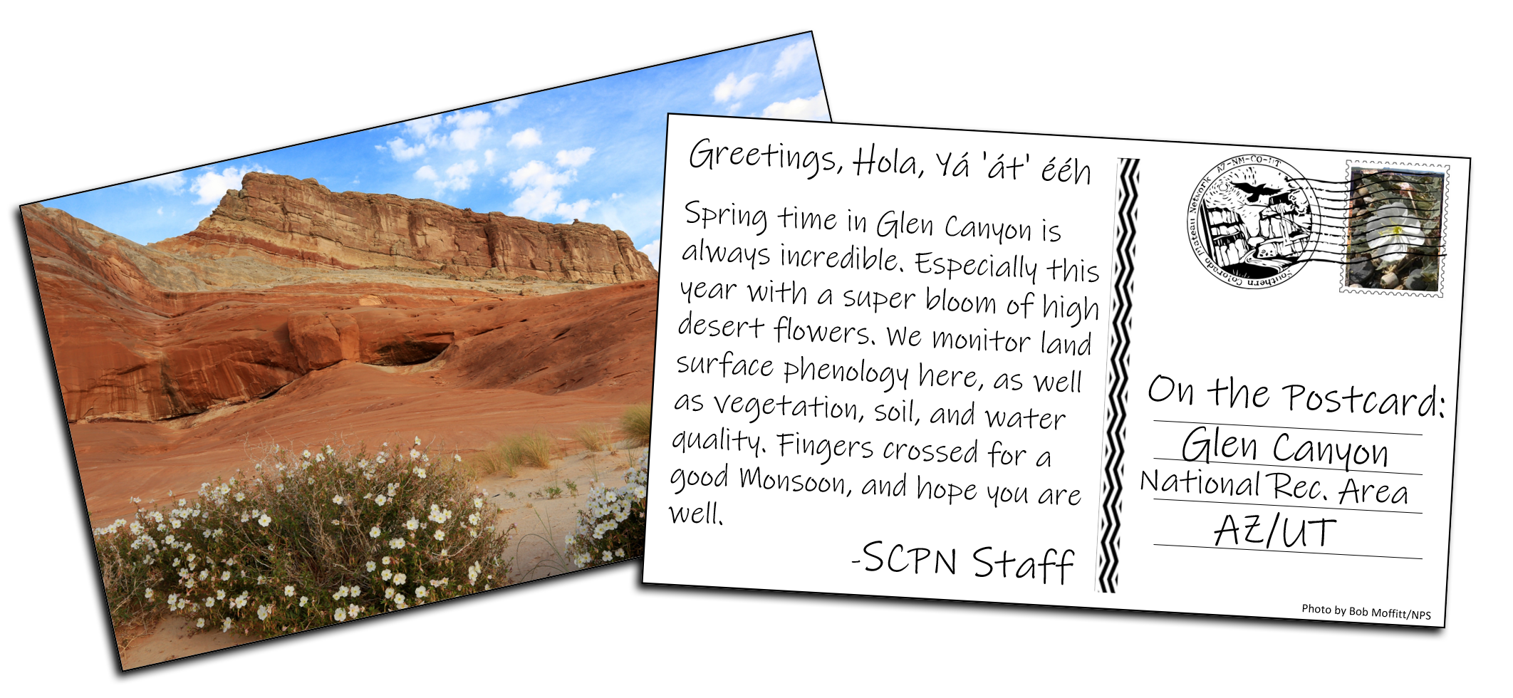 GLCA_Postcard_Transparent_WithShadow_Web The front and back of a postcard. Front of postcard has an image of a red sandstone cliff wall with several white flowers growing out of the sand at the base of the cliff. Back of postcard has the following message: "Greetings, Hola, Ya'at'eeh. Spring tim