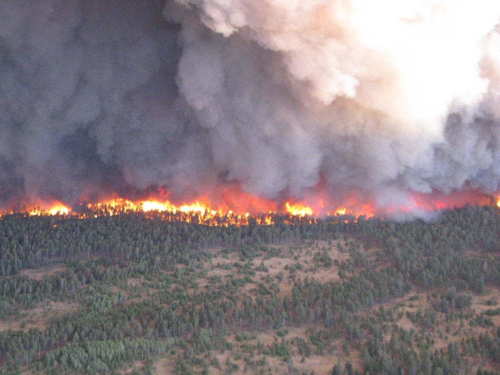 First day of the Las Conchas fire. A line of fire burning through a green forest with smoke filled skies.