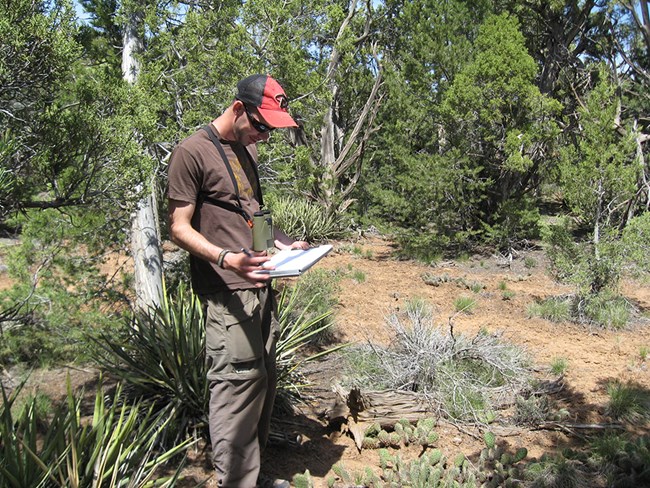 Man in a cap with binoculars around his neck writing on a clipboard