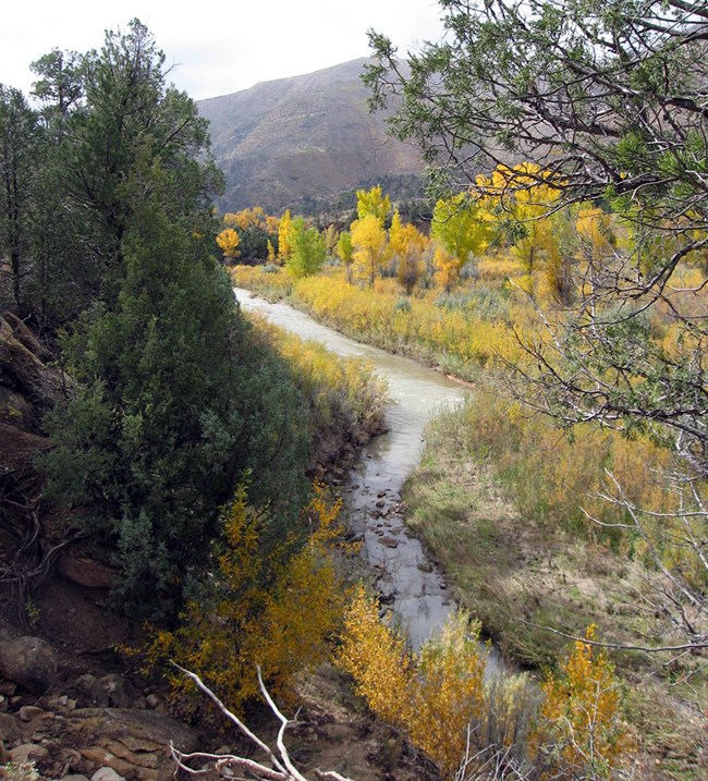 River winding through a valley with trees turning bright yellow