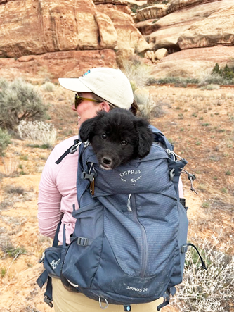 Maggie Johnston and Woodie the field pup! A person with a white ball cap and sunglasses standing in the brush, wearing a green backpack with a black puppy in it.