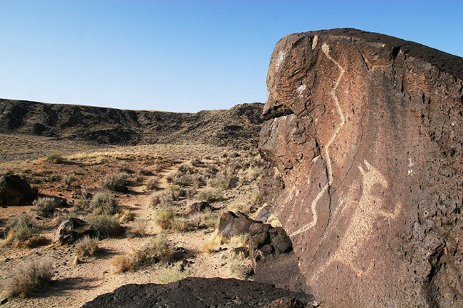 Petroglyphs of a coyote and a rattlesnake on a large basalt boulder in Rinconada Canyon.