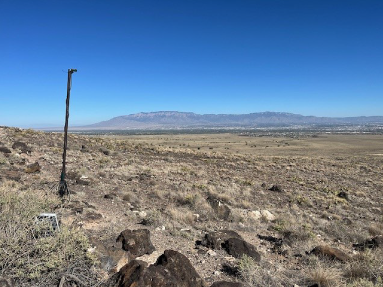 Remote bat acoustic sampling site. A long black pole mounted in the desert with a recording device on type.