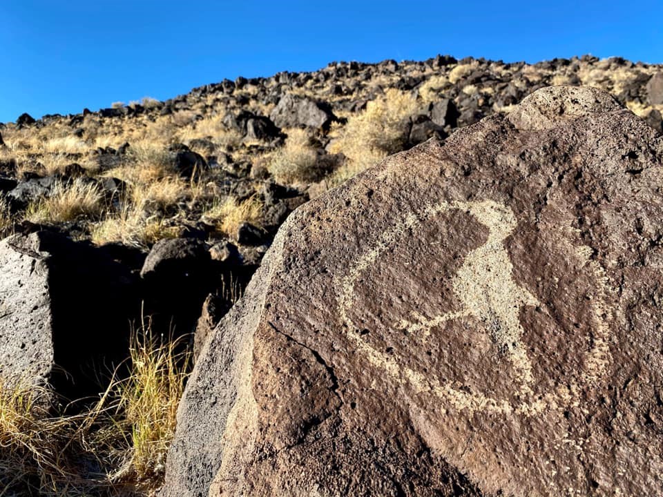 A petroglyph of a bird with a partial circle around it on a boulder.