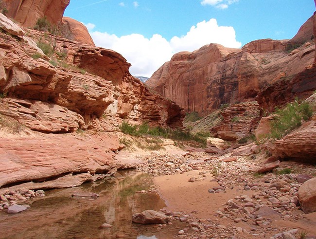 A pool of water and a bit of vegetation along a trail through a red canyon