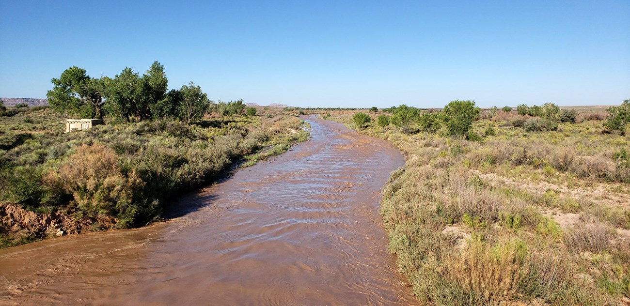 Rio Puerco River flowing along shrub covered banks beneath a clear blue sky.