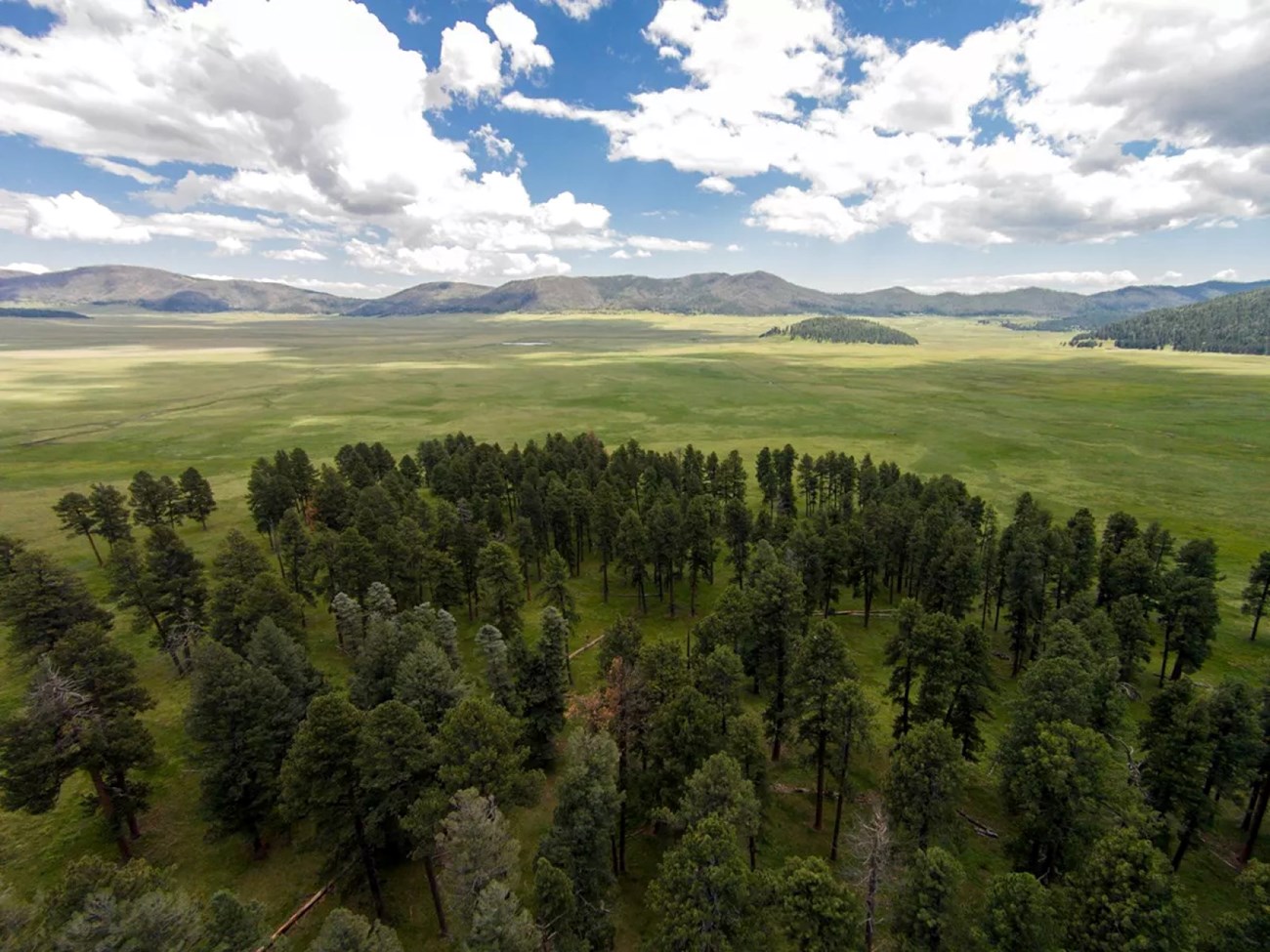 Valles Caldera National Preserve Overlooking a large grassland and forest.