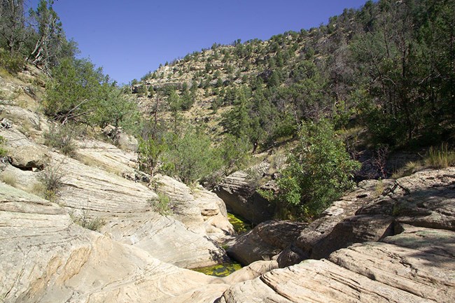 Looking down a rocky canyon lined with trees, and dotted with standing pools of water.