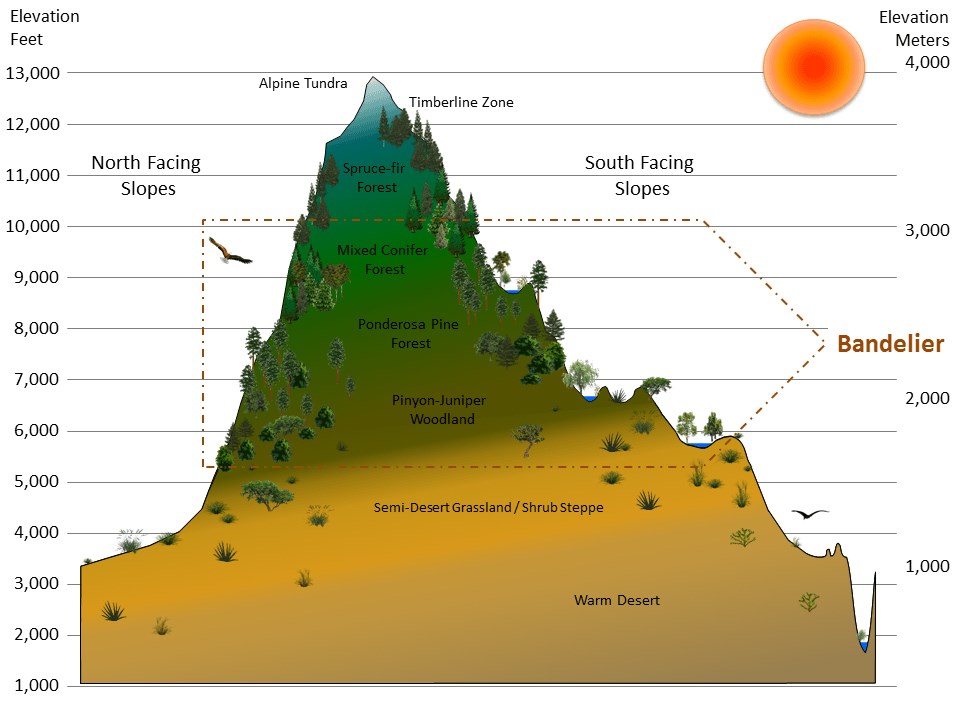 Graphic of a mountain divided into illustrated vegetation zones by elevation and exposure, with the elevations that correspond to Bandelier National Monument highlighted