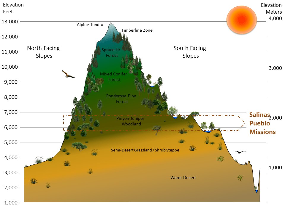 Graphic of a mountain divided into illustrated vegetation zones by elevation and exposure, with the elevations that correspond to Salinas Pueblo Missions National Monument highlighted