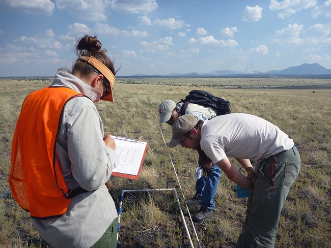 Two men and a woman examine an upland monitoring plot in an arid grassland ecosystem. The woman is writing in a data sheet.