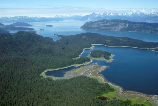 An aerial view of the wild Glacier Bay coastline.