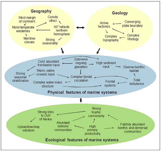 A conceptual model showing the interaction of factors influencing marine environments.