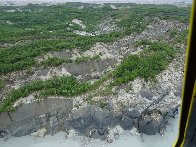 vegetation covers a glacier that is calving into a lagoon