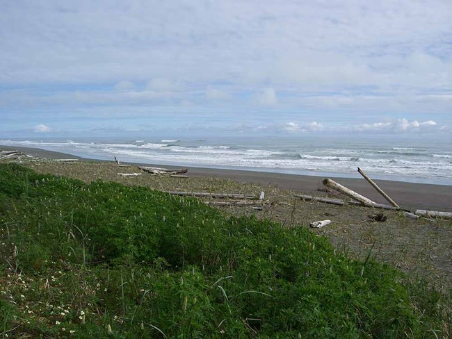 WRST Coast with waves rolling in.