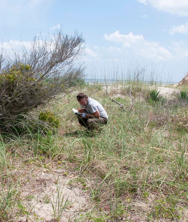 Man holding clipboard kneels in front of a bush