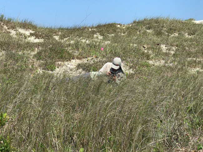 Man in tall grass