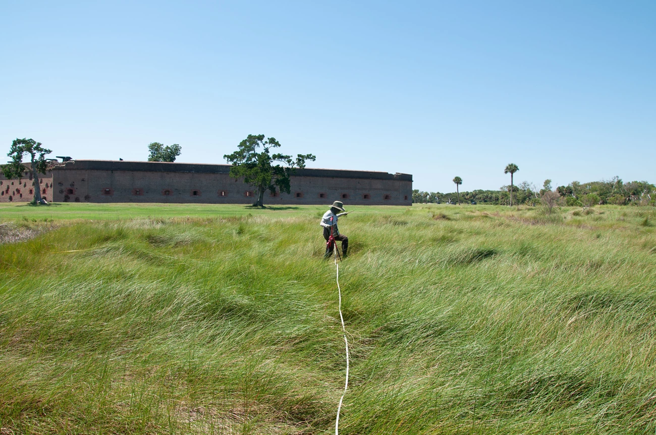 Veg monitoring at FOPU Woman carries measuring tape through marshgrass with fort in the background.