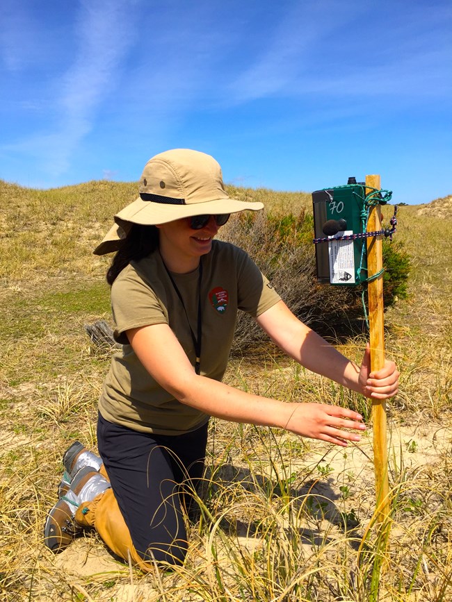 Intern Emily deploys an automated recording device at Cape Lookout National Seashore Intern Emily deploys an automated recording device at Cape Lookout National Seashore