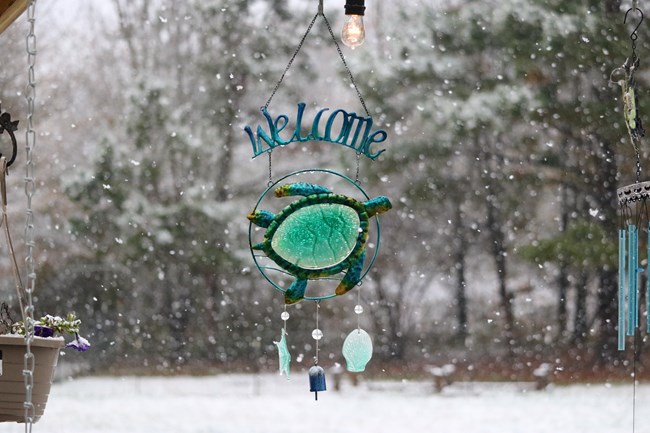 A sea turtle wind chime against a snowy backdrop