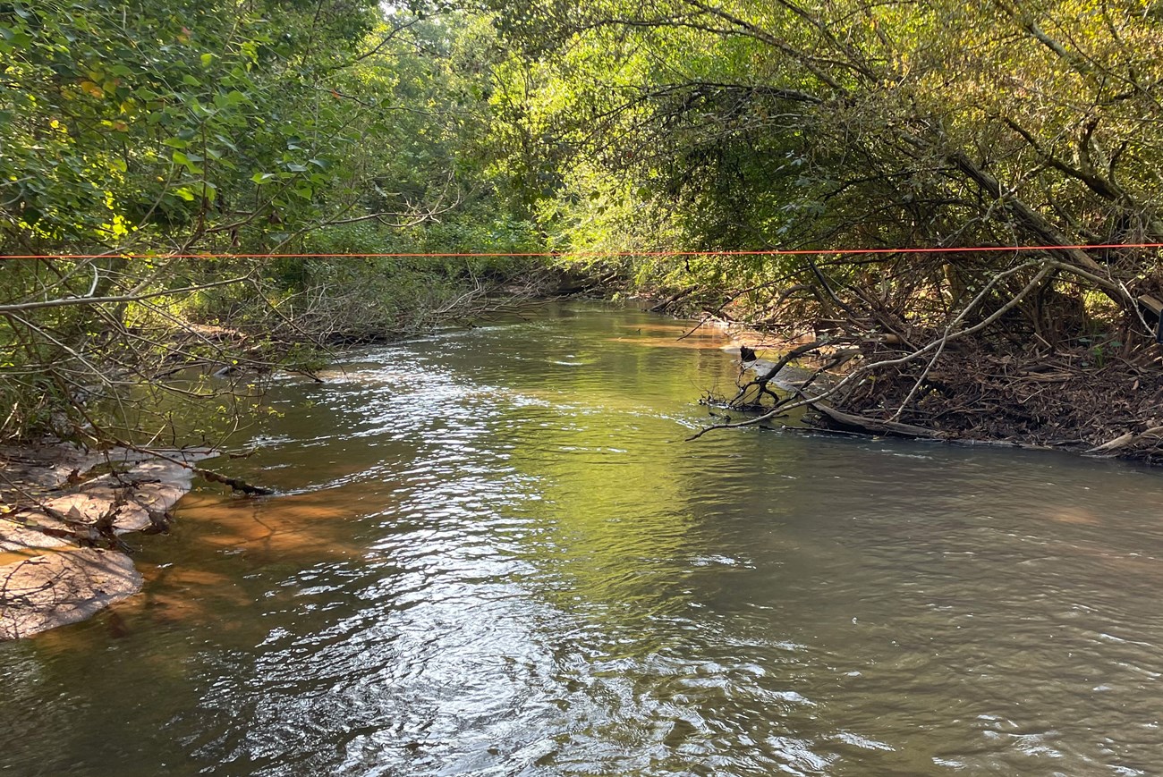 Looking downstream at Transect 11 on Wdeable Survey site OCMU001 in September 2023. Wide stream with trees overhanging on either bank