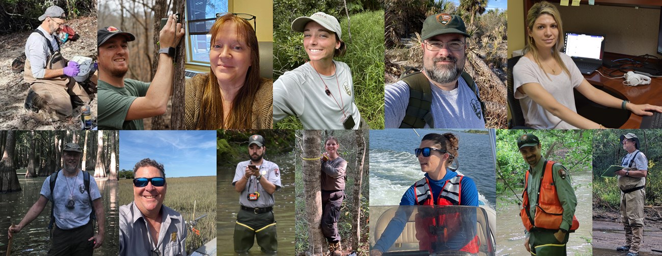 Collage of SECN staff fieldwork photos