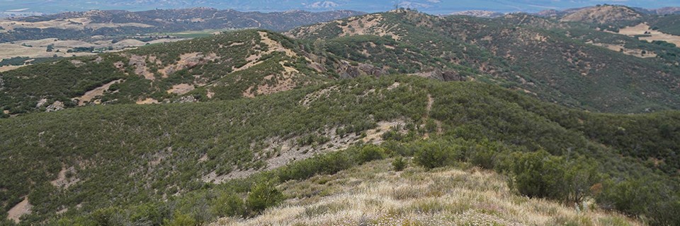 Grassland and chaparral vegetation at Pinnacles National Park.