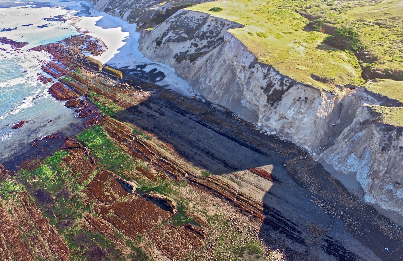 An aerial view of an exposed rock bed; green algae covers patches of the rock. Large cliff faces cast a shadow over parts of the rock bed and vegetation sits on the plateau. The blue ocean is at the top left of the photograph.