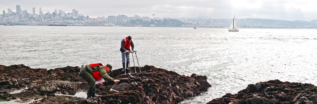 Park staff take measurements on a rocky surface with the city in the background